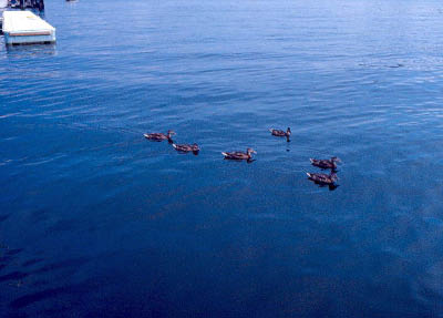 scan0317-2